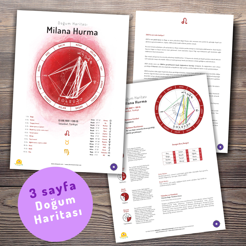 Doğum Haritası Grafik ve Özet