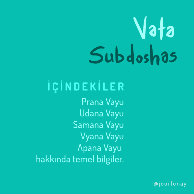 Vata Sub-doshas